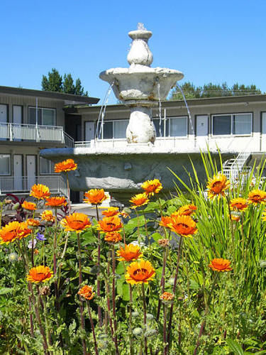 Comox Valley Inn & Suites コートネイ エクステリア 写真