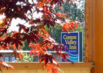 Comox Valley Inn & Suites コートネイ エクステリア 写真